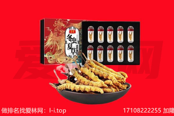 铁西区回收虫草.jpg